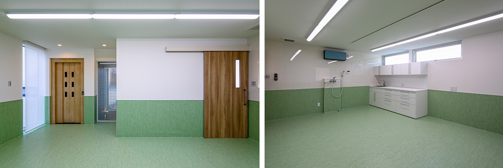 ネクスト動物病院