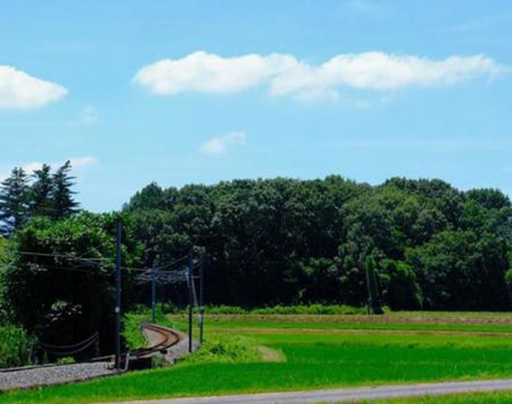 子育て、自然、アクセス。ちょうどいいまち、加東市