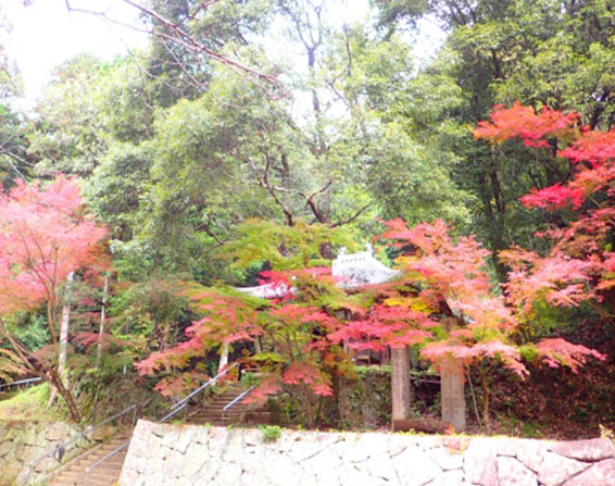 歴史や文化が色濃く残る。自然に恵まれた町、三木市