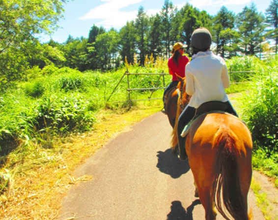 自然がたくさん、子育てスポットが充実